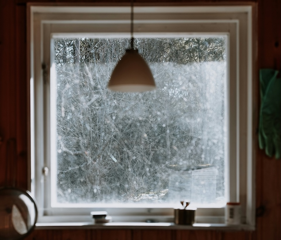 large window overlooking snowy winter wood